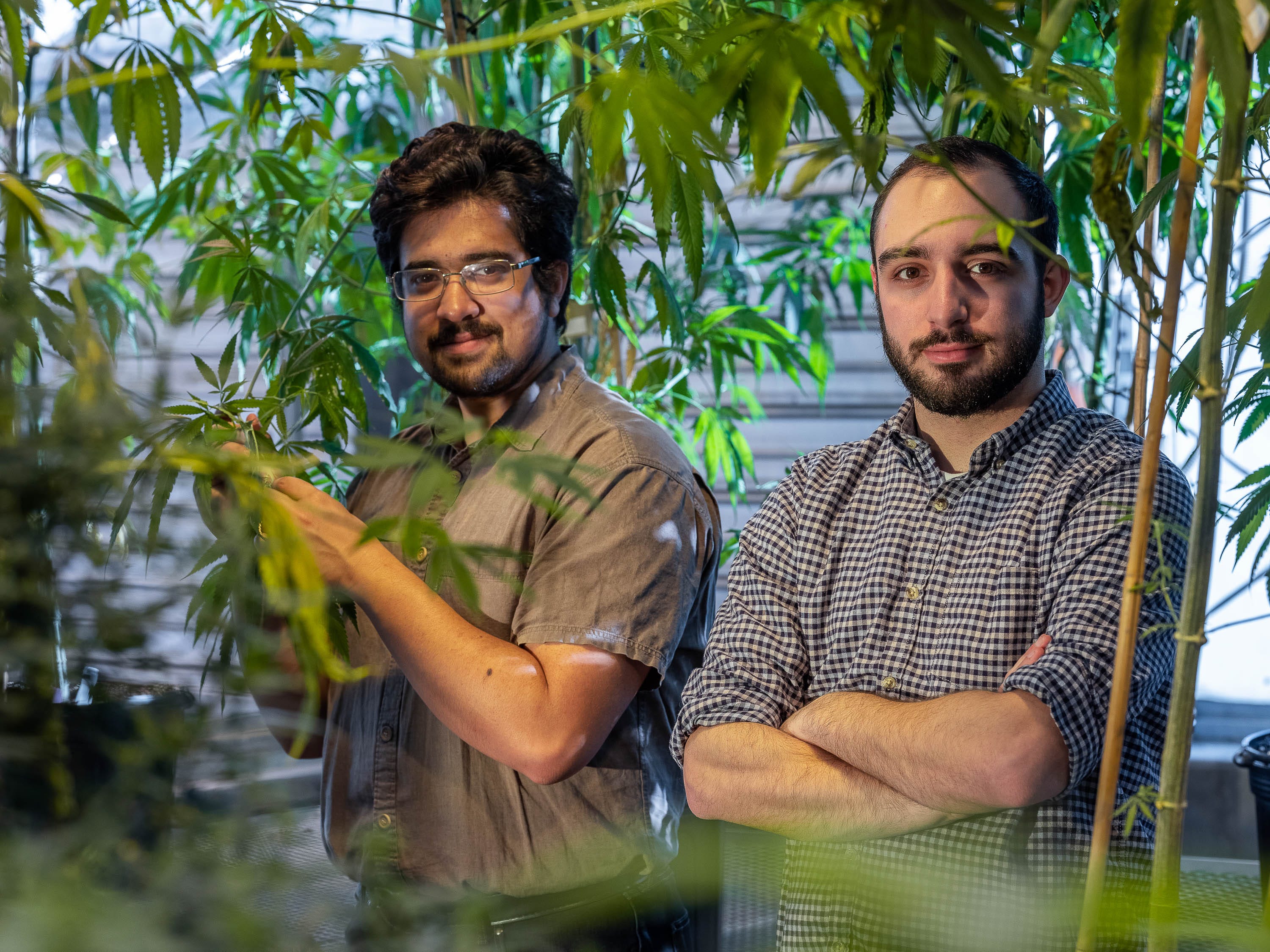 Jacob Toth  and George Stack,  PhD students in plant breeding and genetics at Cornell, at the Surge Laboratory in Geneva.