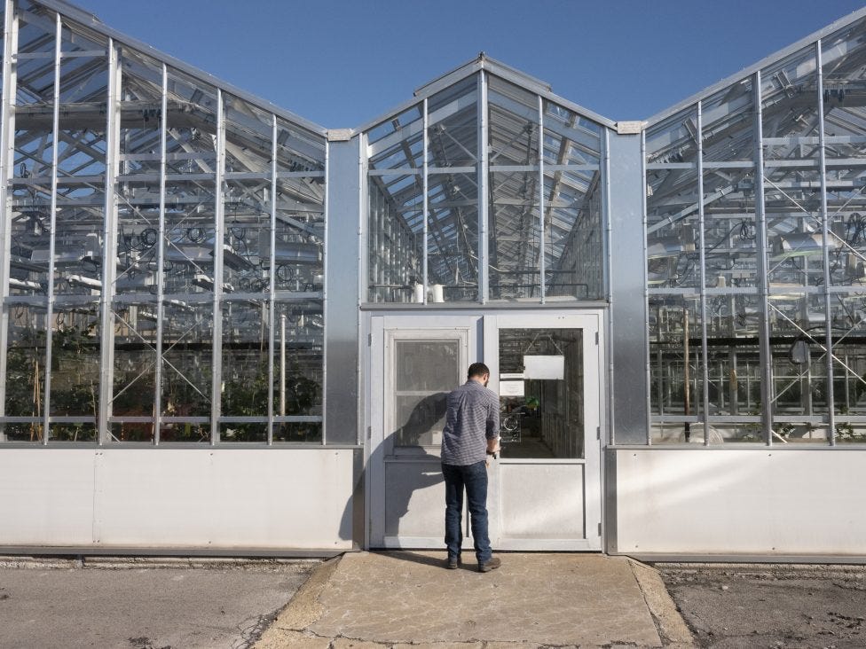 George Stack enters Cornell's Horticultural Sciences Greenhouse at Cornell's AgriTech's campus in Geneva.