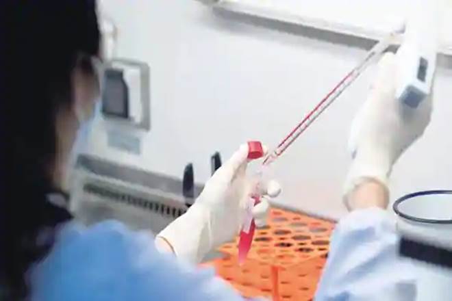 Caplin Point Labs, Xellia Pharma, injectable products, Caplin Point Laboratories, BSE, Shares of Caplin Point Laboratories