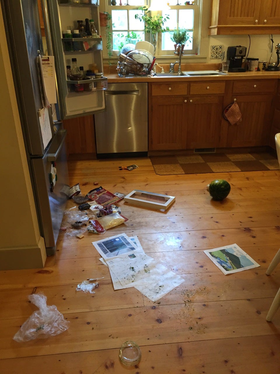On July 20, 2019, a bear broke into an Underhill home and ransacked overnight while the homeowners slept, according to Vermont Department of Fish and Wildlife.
