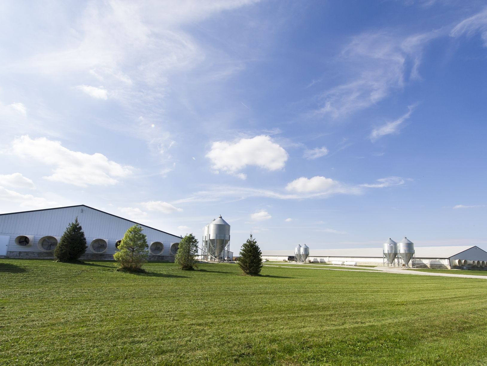 This livestock operation is west and slightly south of Richard Himsel's property, on County Road 425 West in Hendricks County. Himsel lives on the farm his family has owned near Danville since 1940. Himsel has filed a lawsuit challenging the constitutionality of Indiana's Right to Farm laws.
