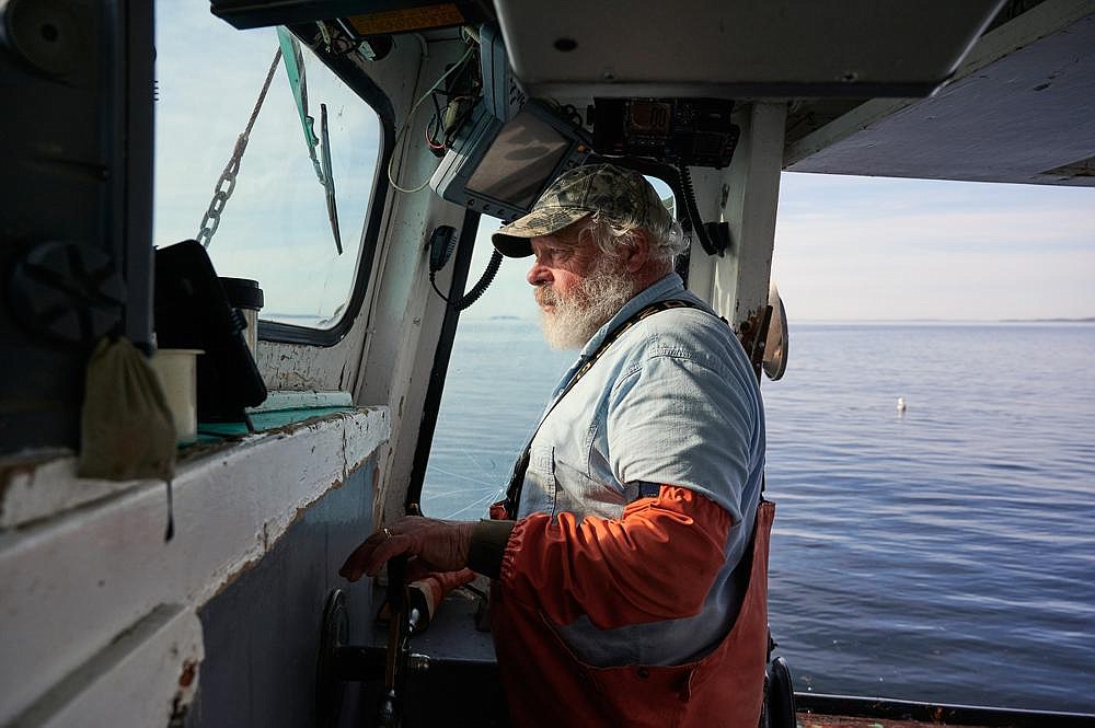 Mike Hutchings, who has fished the waters off Maine for more than 50 years, pilots his boat to harvest lobsters on June 27. Hutchings is putting out all 800 of his traps in case prices take a turn upward, footing the costs of bait, fuel and his crew’s pay.
(The New York Times/Tristan Spinski)