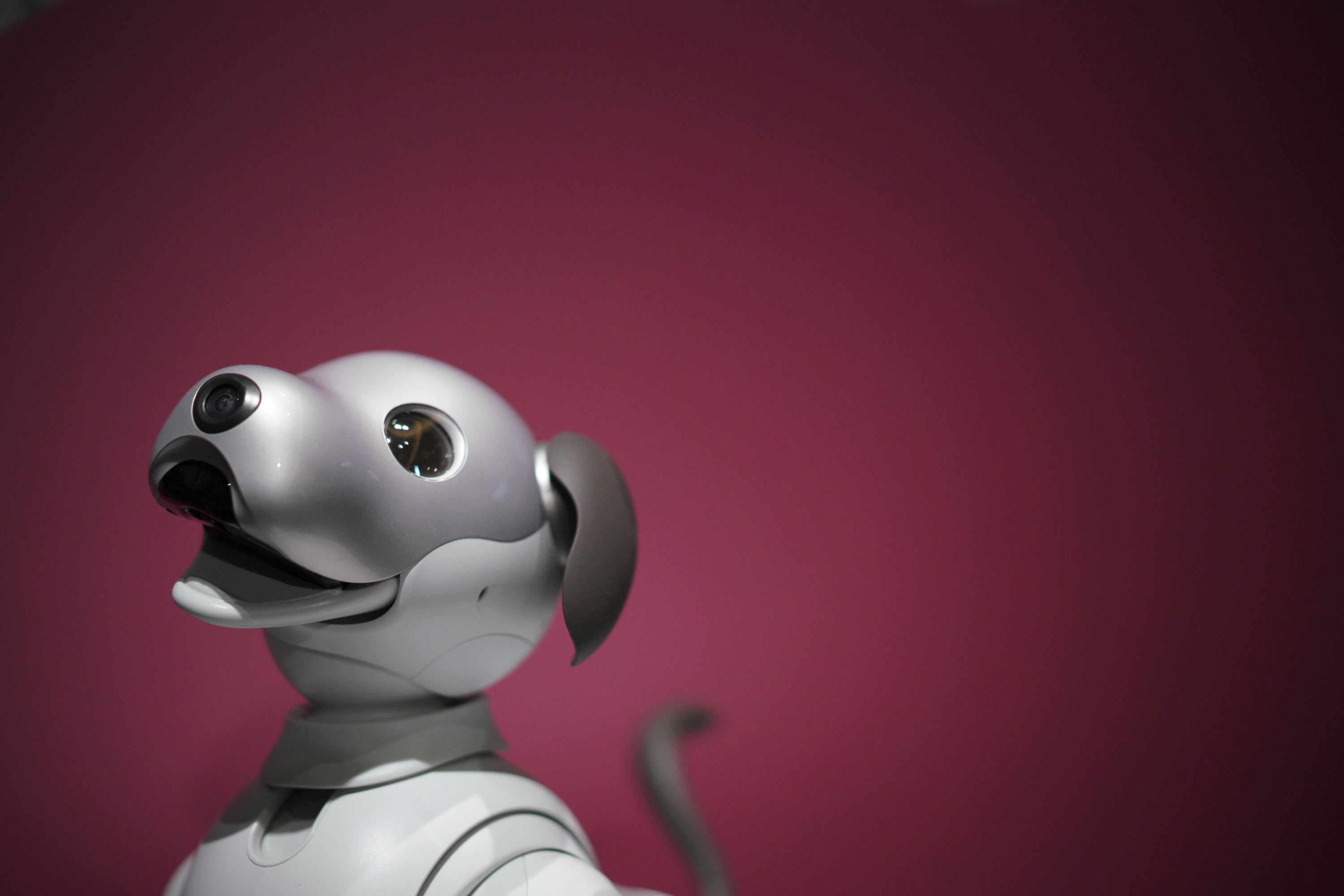 Robotics