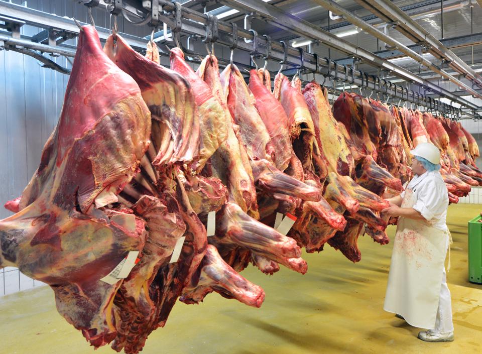 Pork carcasses cool at a slaughterhouse that makes sausages.