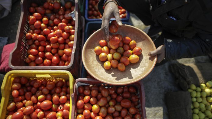 A vendor fills a bowl with tomatoes at a vegetable market A vendor fills a bowl with tomatoes at a vegetable market