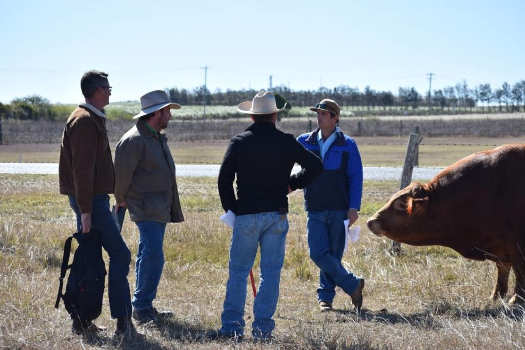 agriculture teachers