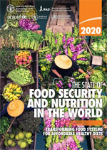 Report cover