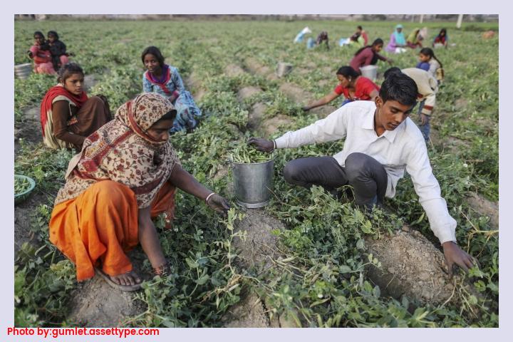 Rural economy still strong on record procurement of farm produce: PM