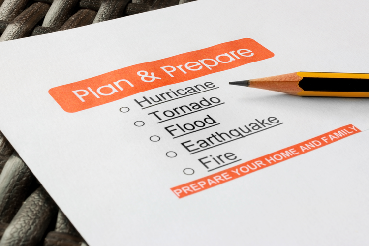 plan and prepare document