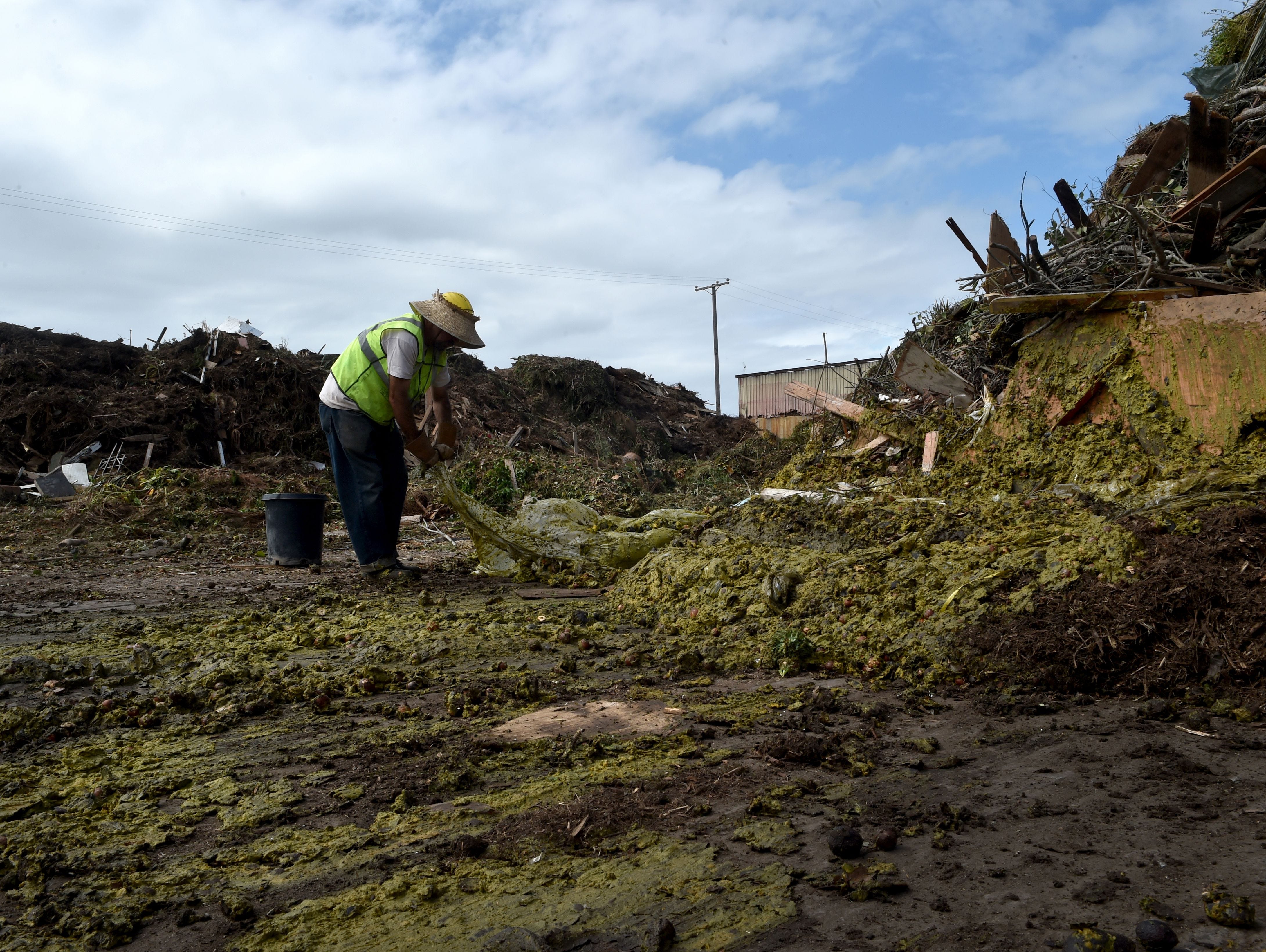 In this September 2016 file photo, Robert Gonzalez pulls a sheet of fabric from a pile of recently delivered yard waste at Agromin's composting facility in Oxnard.