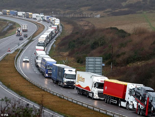 Lorries queue on the A20 in Kent as ferry services at Dover are hit by storms on January 14