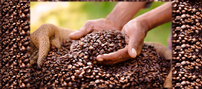 iFinca-Courtesy iStockPhoto.wundervisuals