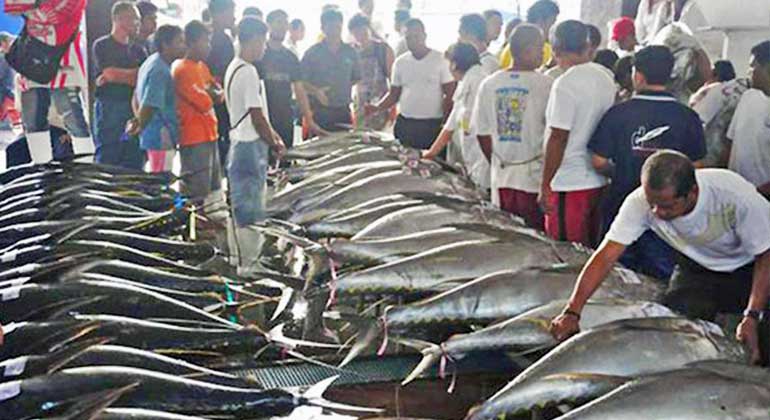 Fish-tuna-market