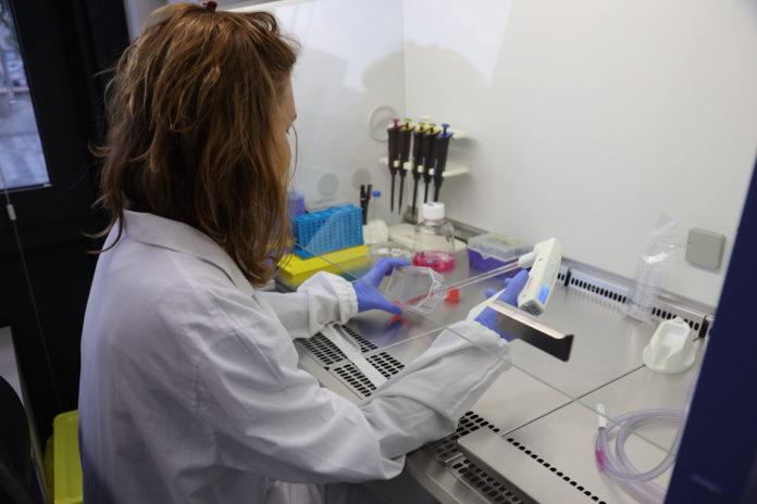 cell therapy