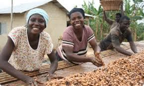 Cocoa Farmers