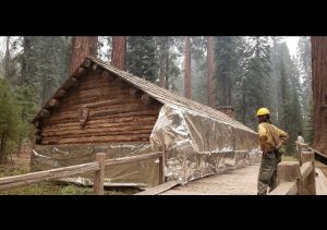 Mariposa Grove Museum Prepped For Fire