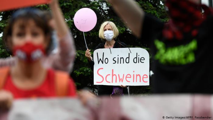 A protestor holds a sign that reads 'where are the pigs?' in front of the headquarters of German abattoir company Tönnies A protestor holds a sign that reads 'where are the pigs?' in front of the headquarters of German abattoir company Tönnies