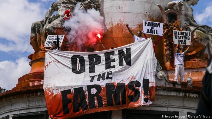 Demonstrators wave flags and flares calling for the closure of slaughterhouses