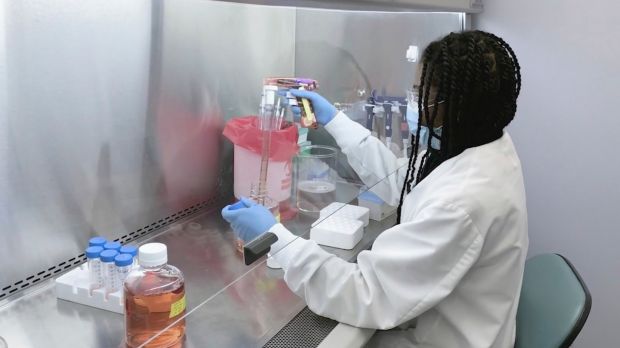 A Regeneron scientist works in the company’s Infectious Disease Lab in New York state. Photograph: Regeneron via AP