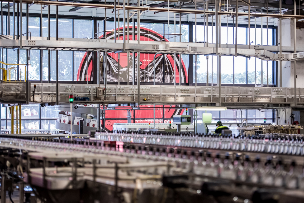Bacardi site window