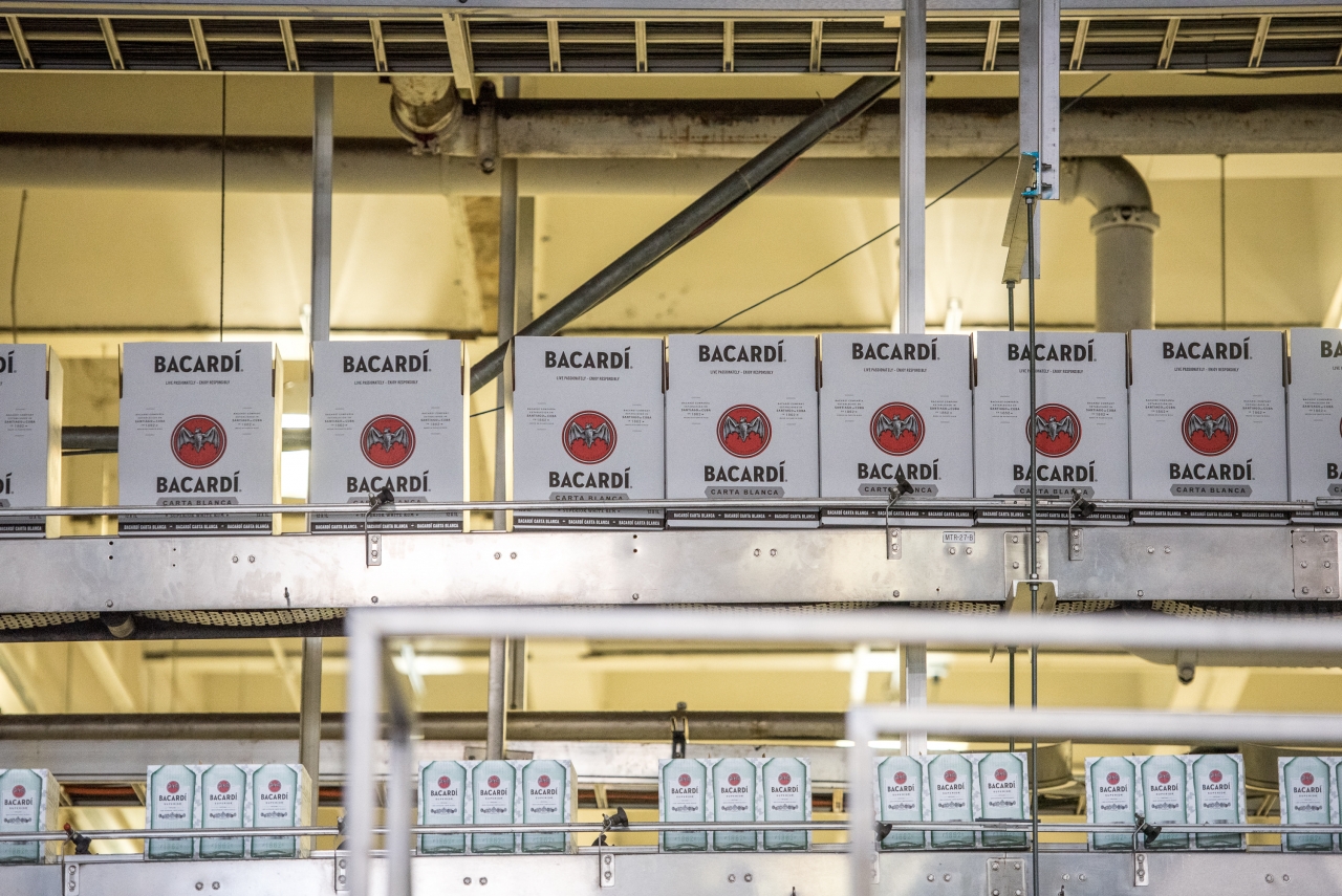 Bacardi site