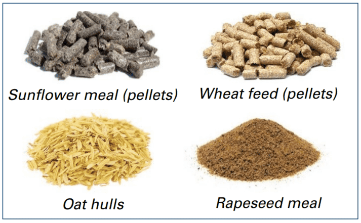 Figure 8. Raw materials which contribute to the fiber density of the diet. Images courtesy KW Alternative Feeds.