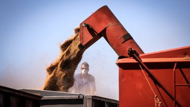 China could soon target imports of Australian wheat, after already turning its attention to barley, wine, cotton and beef, have rattled the market. 