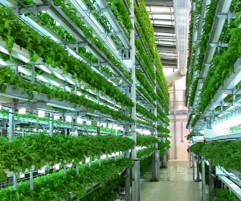 Veggie Factory: World's First Vertical Farm Run Entirely By Robots | Urbanist