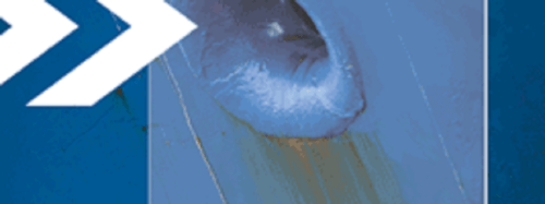 44bb06f7-68c6-436e-8b2c-32458bfcb77b