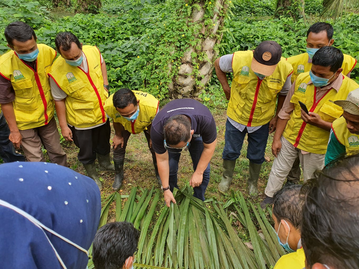Smallholders Hub training session