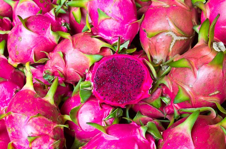 JR Holland Group fresh dragonfruit