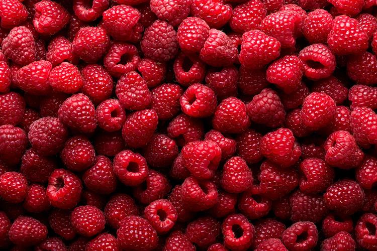 JR Holland Group fresh raspberries