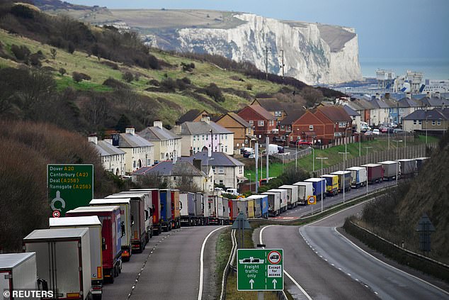 White goods, furniture, homeware and building supplies are also being delayed by the congestion in goods coming into Britain. Pictured: Lorries queue for miles on the A20 near Dover