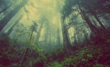 sustainability