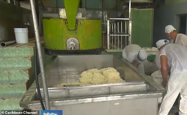The four suspects (not pictured) who were arrested for stealing 2,945 pounds of cheese were employees of the Holguín Dairy Company