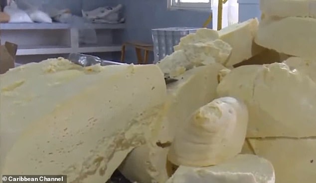 These cheeses were removed from the Holguín Dairy Company and kept at two nearby homes before they were transferred to a property, where the product was kept inside refrigerators before they were sold on the black market