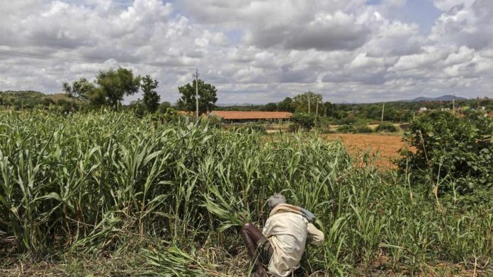 farmersBihar-696x392
