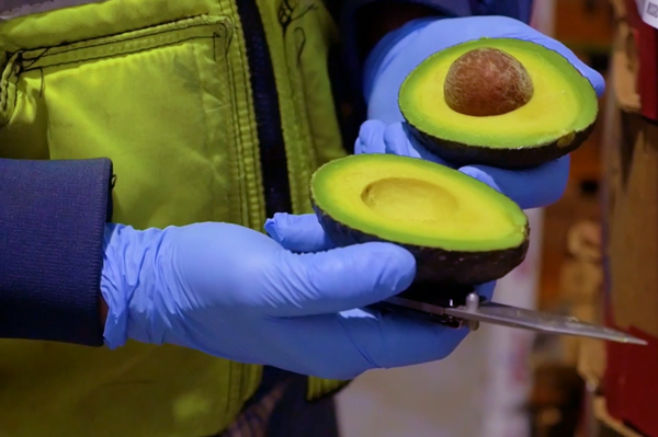 Mission Produce’s state-of-the-art ripening centers and skilled ripening process not only reduces shrink, but will provide value to avocado programs across retail, wholesale, and foodservice as well Mission Produce’s state-of-the-art ripening centers and skilled ripening process not only reduces shrink, but will provide value to avocado programs across retail, wholesale, and foodservice as well