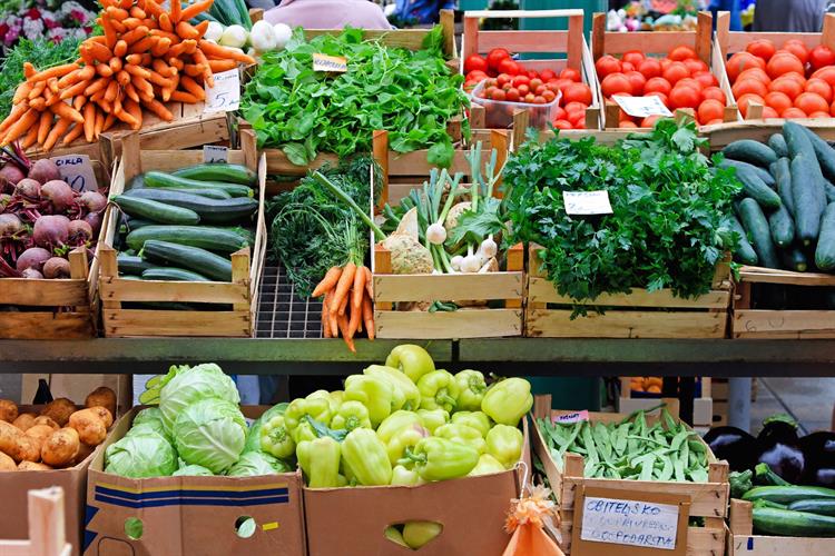 JR Holland Group fresh produce in cartons