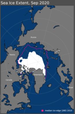 Sea ice coverage in September 2020. The purple line indicates the previous median ice coverage extent...