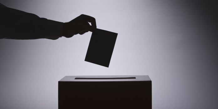 Person voting Person voting