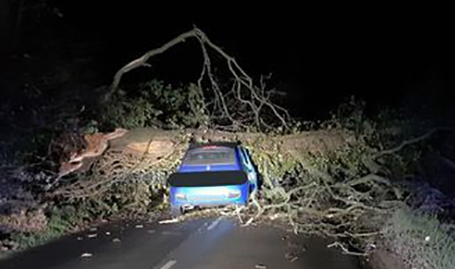 Police were amazed last night that nobody was injured in an incident that saw a tree collapse onto a car during last night's storm
