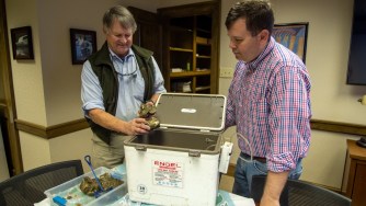 Neil Johnston Sr., left, and PJ Waters examine some of the oysters that were farmed in Mobile Bay last year. (Dennis Washington / Alabama NewsCenter)