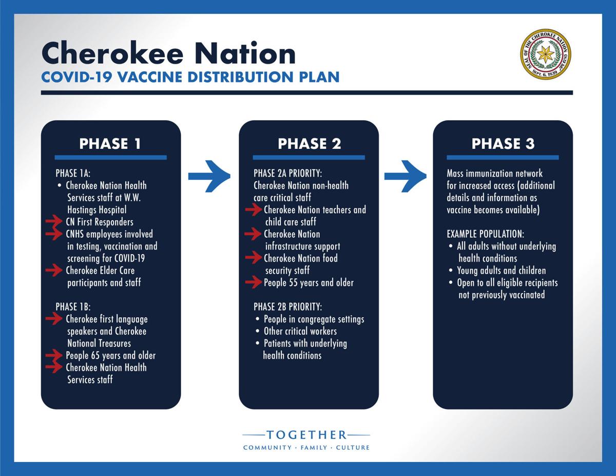 Vaccine rollout plan January 2021 2a