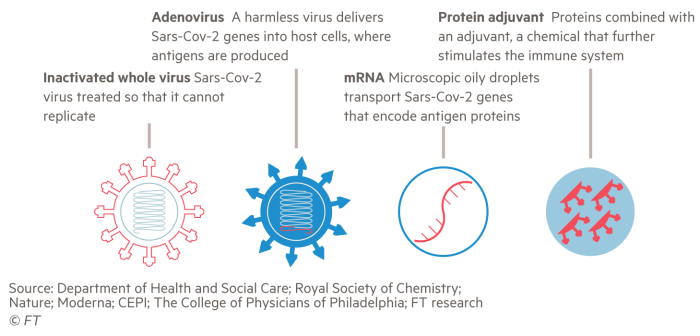 Infographic showing the four different types of vaccine in the UK's portfolio