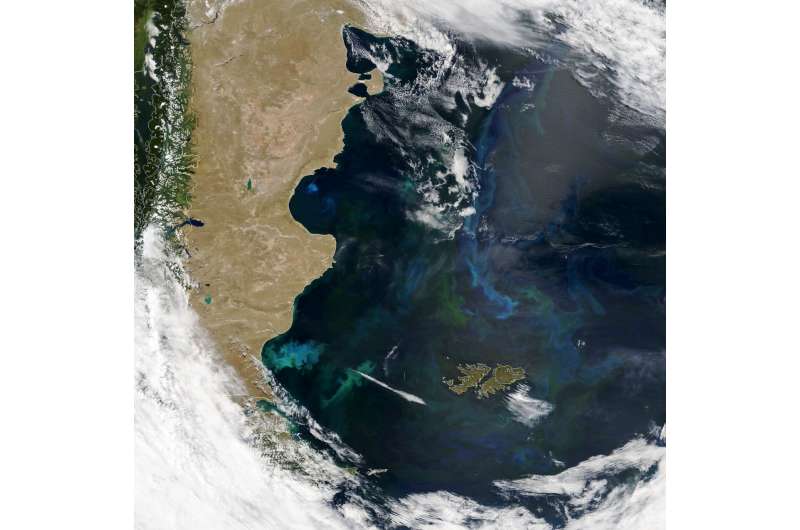January 5, 2021. Credit: NASA Earth Observatory Phytoplankton Factory in the Argentine Sea