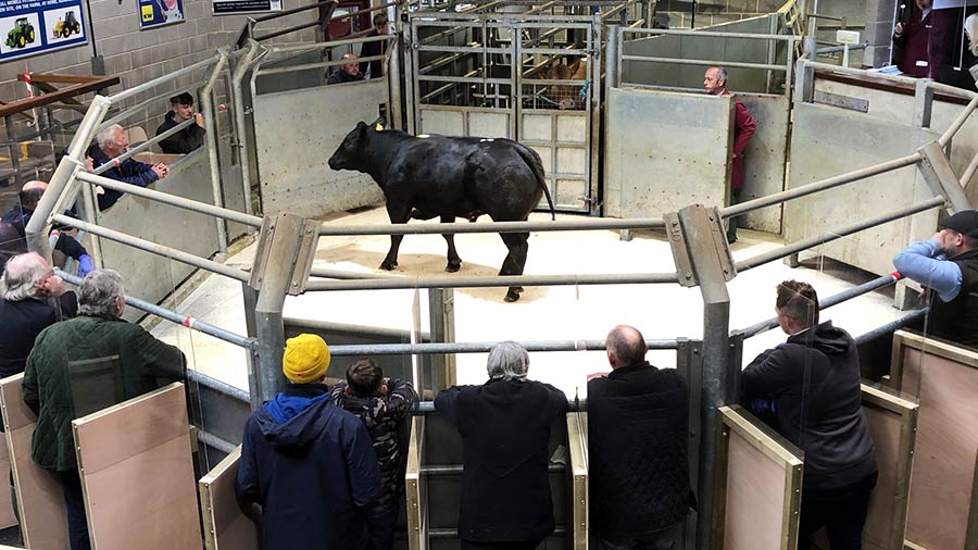 Buyer booths at Skipton