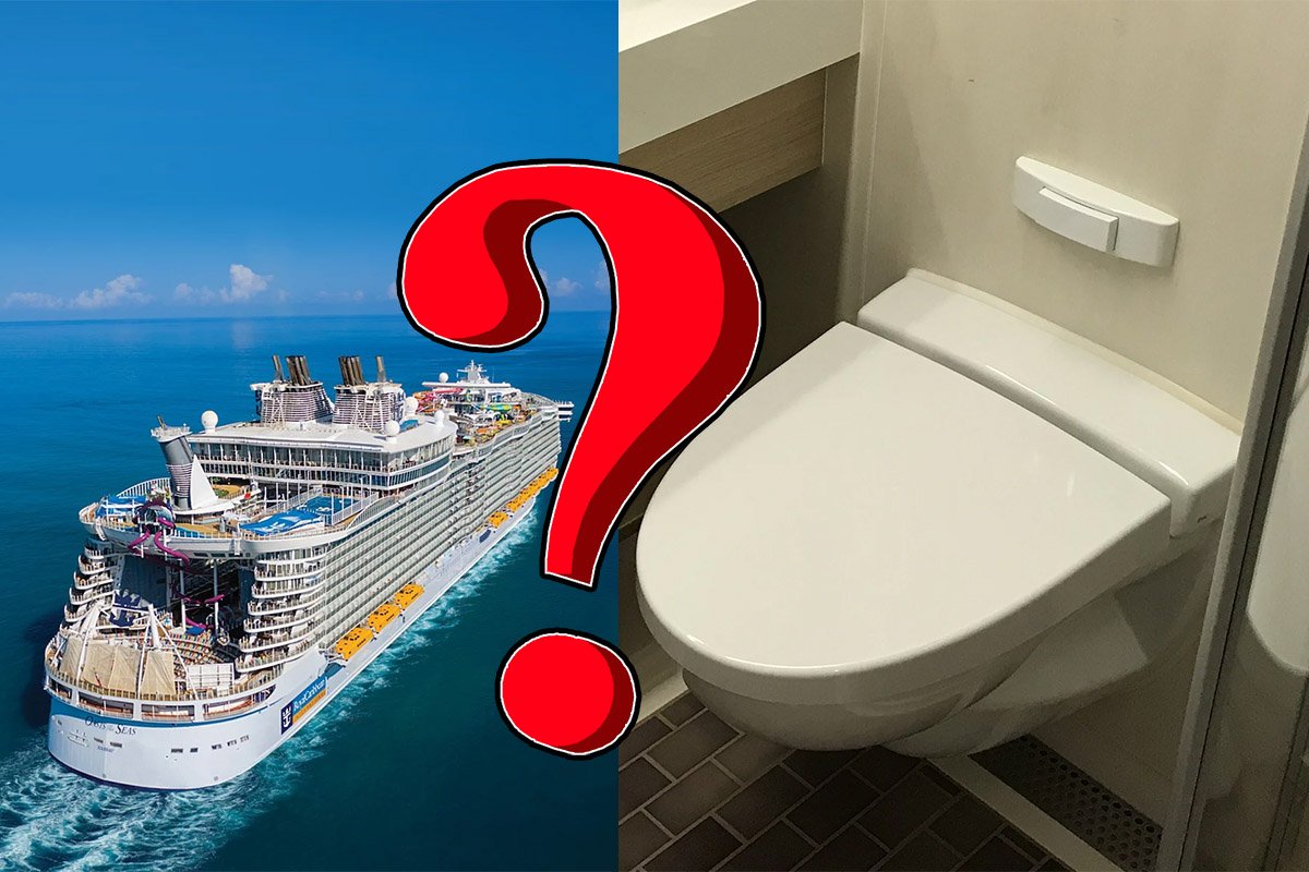 Where does the poop go on a cruise ship? Supply Chain Council of