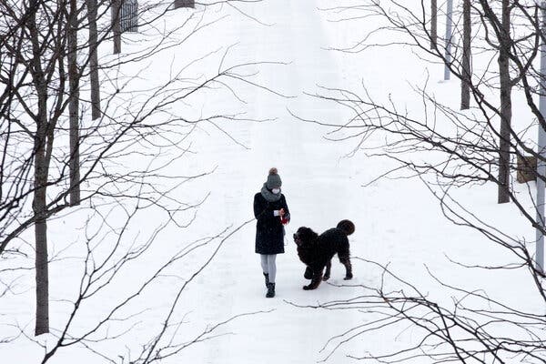 Snow accumulated on Monday in Smale Riverfront Park in Cincinnati, with more heavy snow expected through Tuesday.
