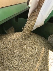 The case also exposes the practice used by seed companies by which they re-package, re-label, re-name, or re-number seed varieties to deprive farmers of the ability to compare performance data or prices. This allows the sale of seed at higher prices because farmers aren’t sure exactly what they are buying.